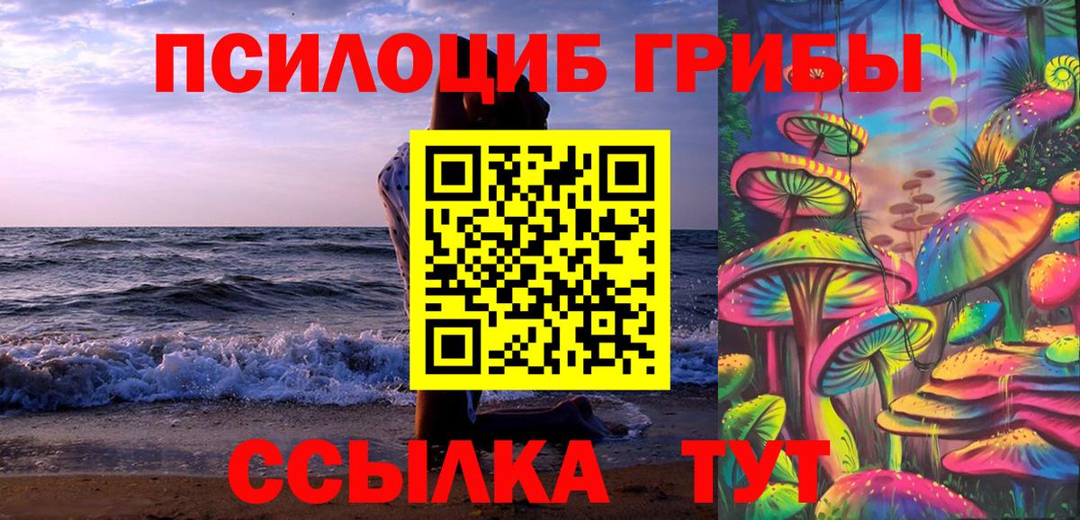 где найти   Вход с VPN  Россошь  Псилоцибиновые грибы Cubensis 